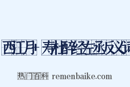 西江月+寿杜醉经左丞反义词是什么意思的图片